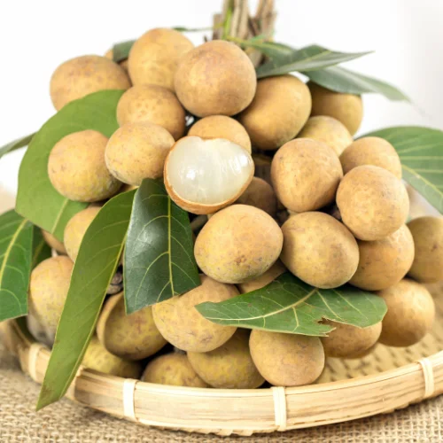 ლონგანი
